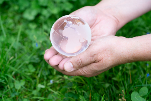 Эко-энтузиазм: ОАЭ запускают инициативу EcoMark для глобальной экологической трансформации